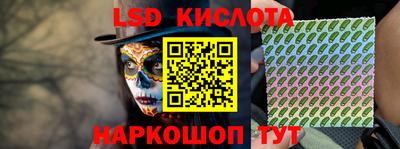 прущие грибы Партизанск