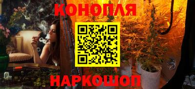 прущие грибы Партизанск